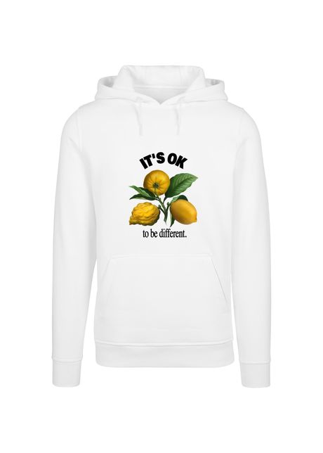 Hooded sweatshirt mister tee glory dragon v2