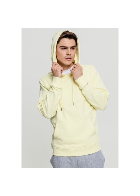 Hooded sweatshirt urban classic terry basic