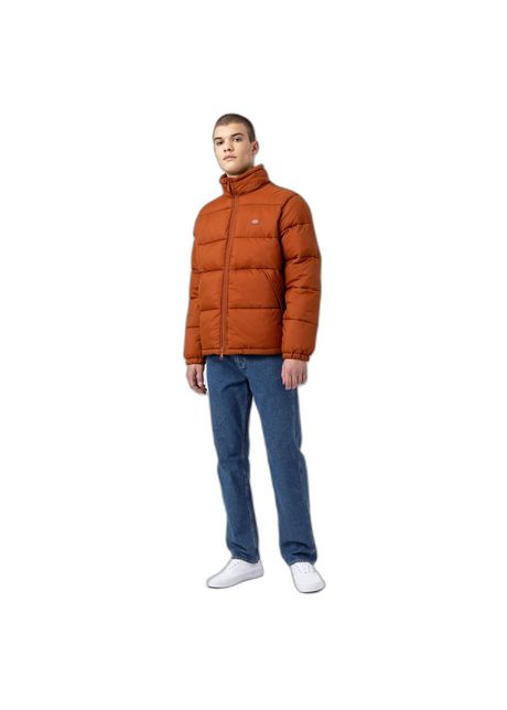 Jacket dickies waldenburg