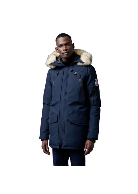 Parka forestland aspen