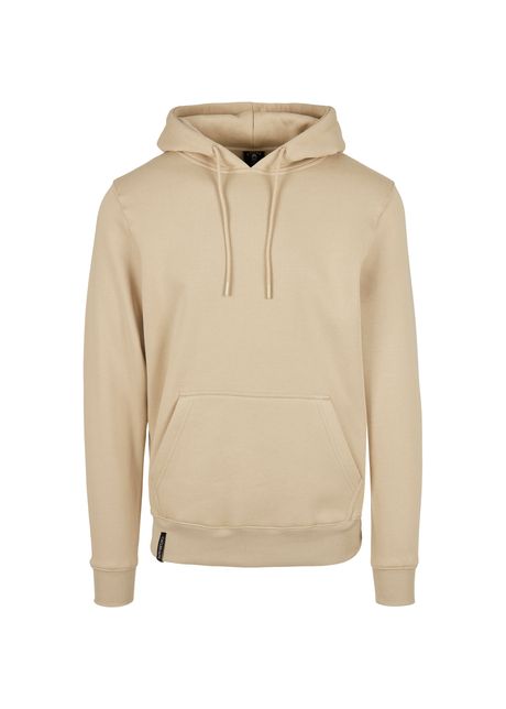 Plain hooded sweatshirt cayler sons