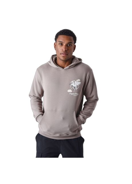 Project x paris pegasus cloud hoodie