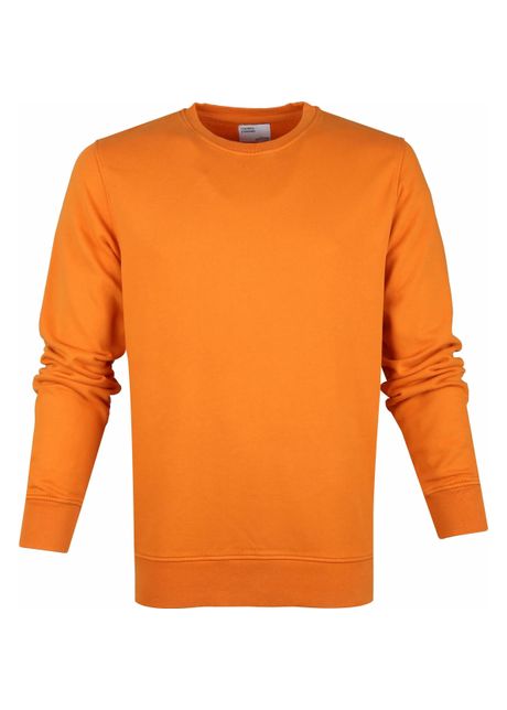 Sweatshirt crewneck colorful standard classic organic burned orange