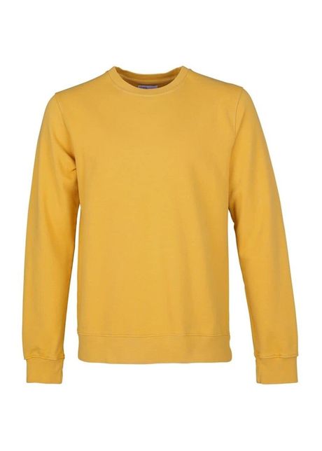 Sweatshirt crewneck colorful standard classic organic burned yellow