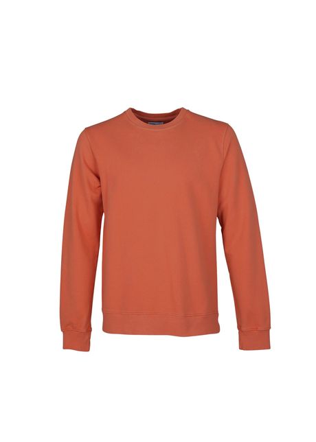 Sweatshirt crewneck colorful standard classic organic dark amber