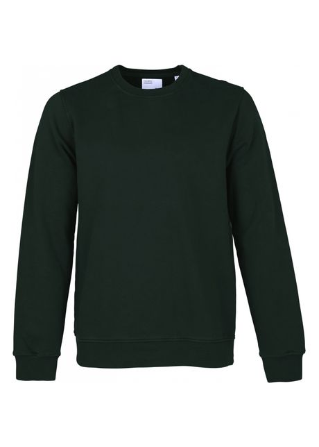 Sweatshirt crewneck colorful standard classic organic hunter green
