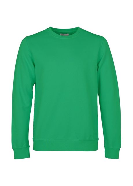 Sweatshirt crewneck colorful standard classic organic kelly green