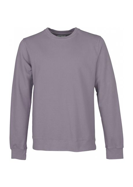 Sweatshirt crewneck colorful standard classic organic purple haze