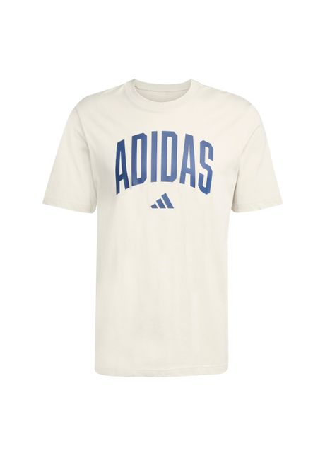 T shirt adidas collegiate lineage graphic