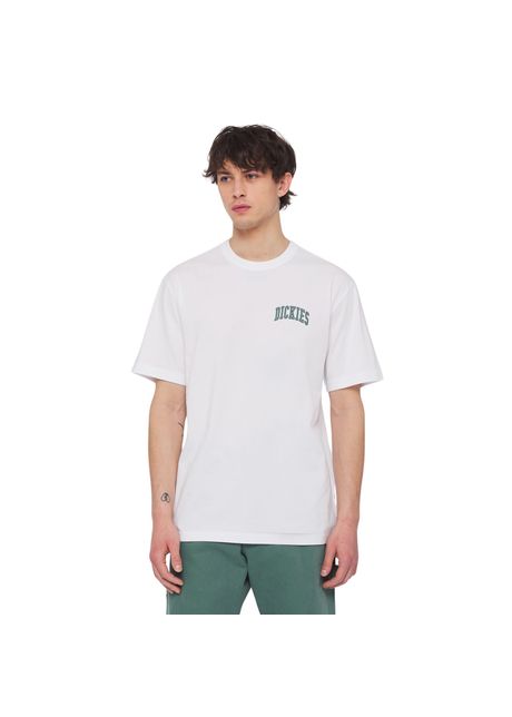 T shirt dickies aitkin