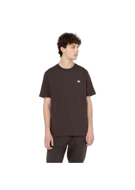 T shirt dickies mapleton