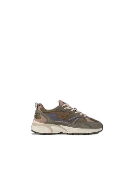 Trainers hoff maine