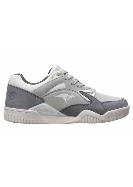 Trainers kangaroos true pointer
